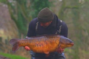 Carp Fishing for Beginners