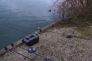 Carp Fishing in Rivers