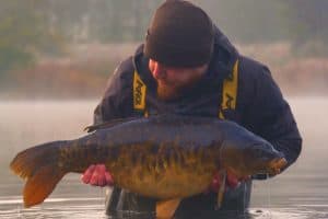 Fishing Tips for Carp