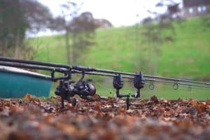 Winter Carp Fishing Tips