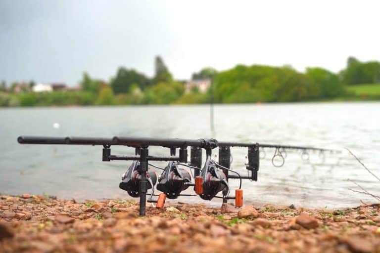 The Top 7 Best Carp Rods in 2023 - Reviewed and Compared