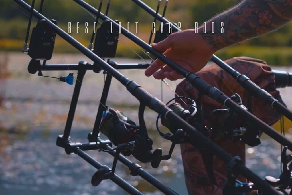 best 10ft carp rod