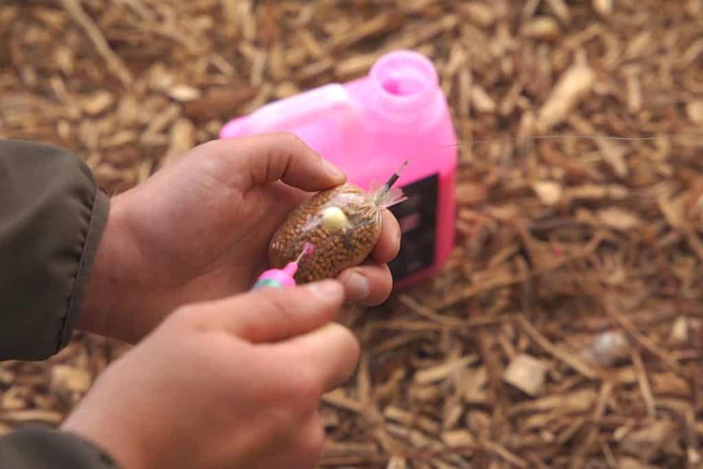 best carp baits