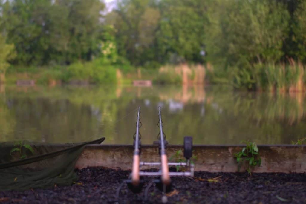 Somerset Carp Fishing Lakes