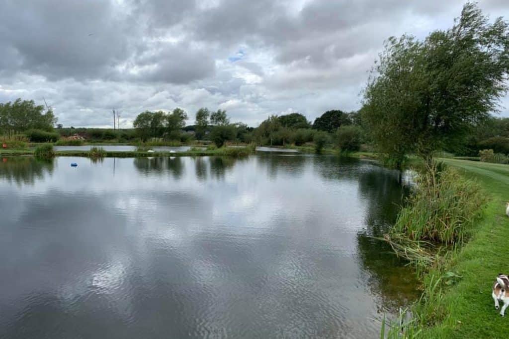 County Durham Carp Fishing Lakes Near Me Discover The Best Fishing Spots