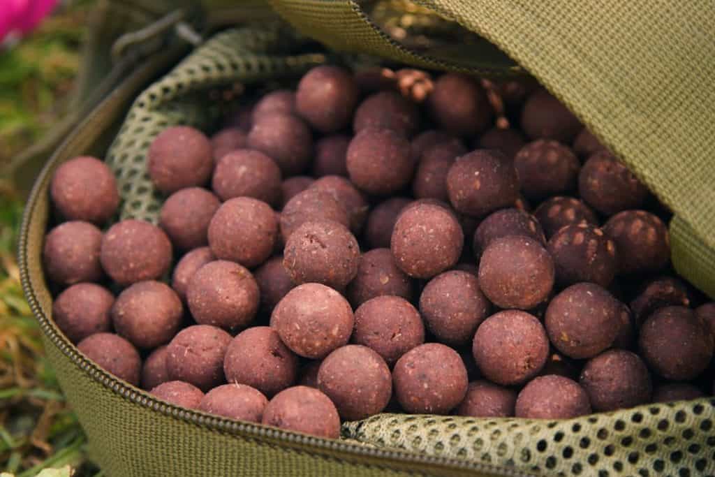 Boilies: The Ultimate Guide for Carp Anglers