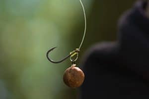 Essential Carp Rigs: A Comprehensive Guide