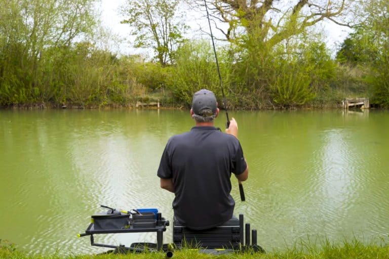 Method Feeder Fishing A Comprehensive Guide for Carp Anglers
