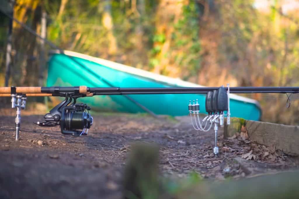 Surface Fishing for Carp A Comprehensive Guide