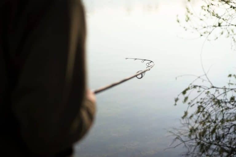 Zig Rig Fishing A Comprehensive Guide for Carp Anglers