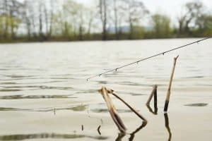 Reading Water Features for UK Carp Fishing